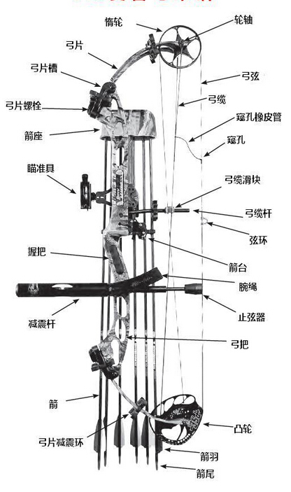 复合弓结构图