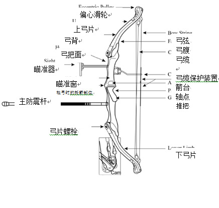 复合弓和反曲弓结构箭矢的区别