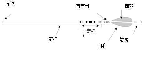 复合弓和反曲弓结构箭矢的区别