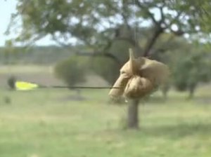 【超清】完美射箭特技集锦